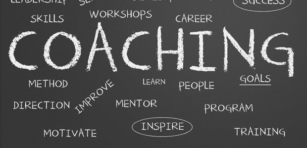 Systems Coaching