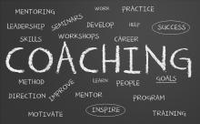 system coaching
